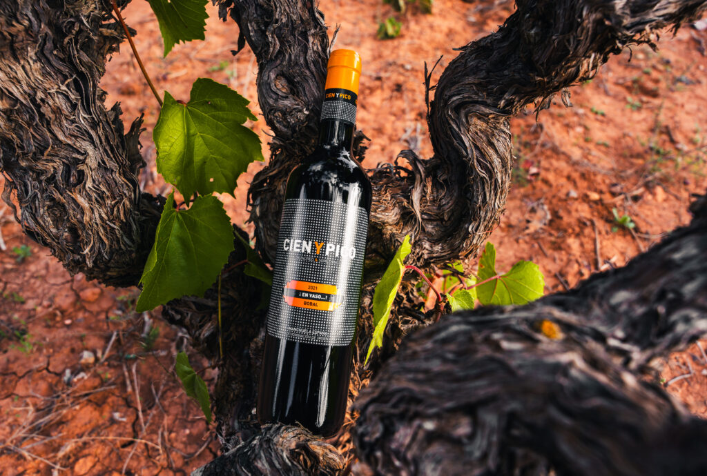 cien-pico-vino
